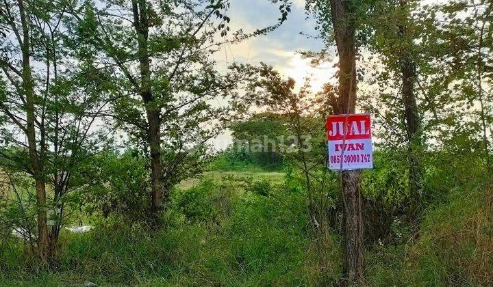 Lahan depan pabrik  Meiji Bangil Pasuruan.  7