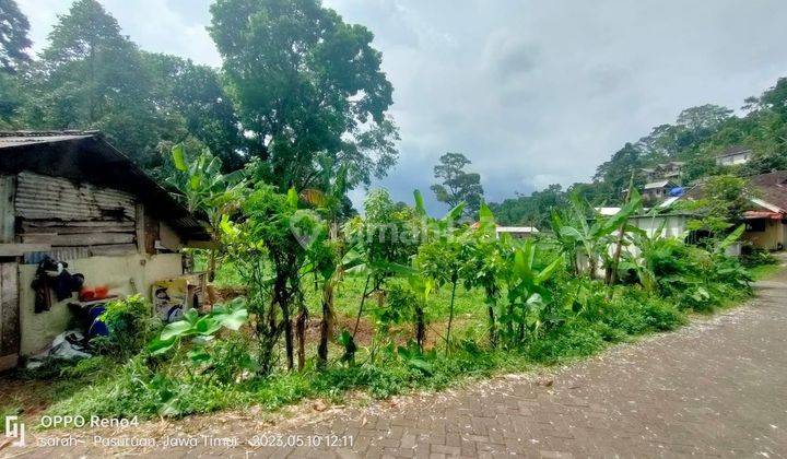 Prigen Pasuruan, lahan pertanian. Murah banget.  3