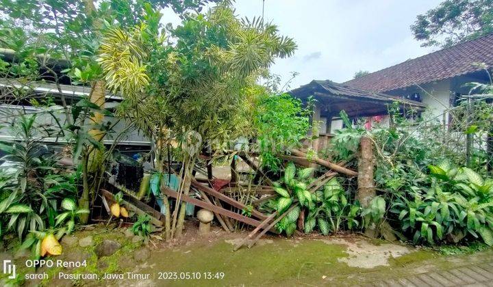Prigen, lahan pertanian dan peternakan. Murah 2