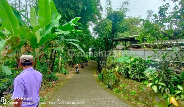 Prigen, lahan pertanian dan peternakan. Murah 3