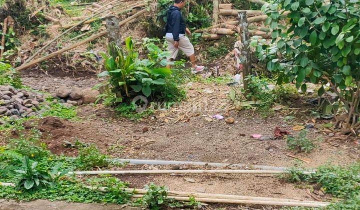 Prigen, lahan pertanian dan peternakan. Murah 6