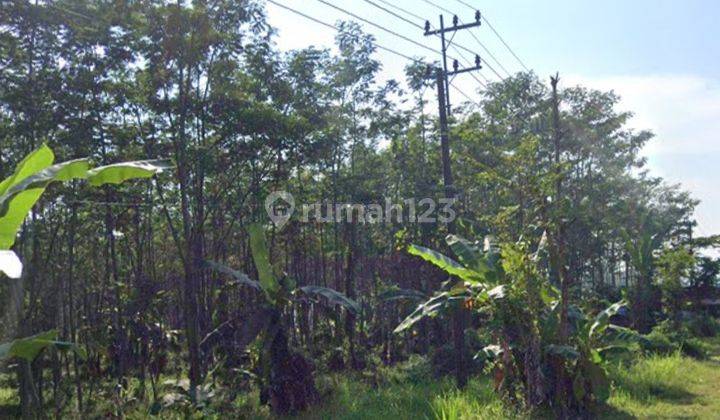 Sukorejo Pasuruan. Komersial area. Lahan siap bangun 2