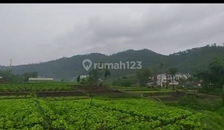 Batu, Indragiri. Lahan  Siap Bangun. Murah. Untuk Hotel Dan Villa 1