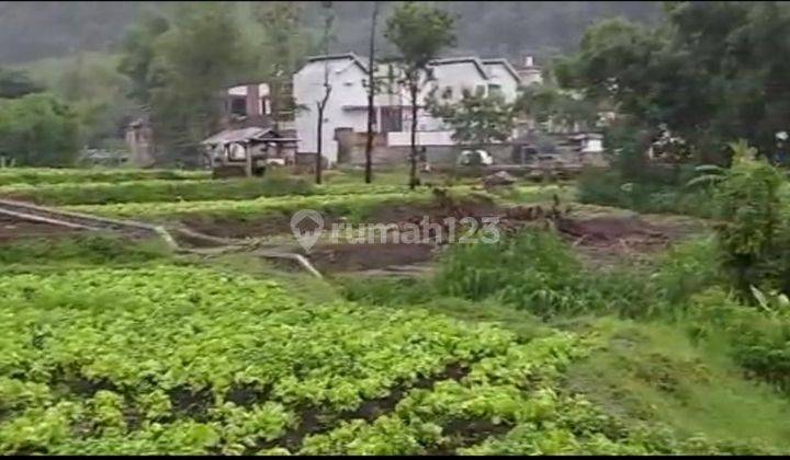 Batu, Indragiri. Lahan  Siap Bangun. Murah. Untuk Hotel Dan Villa 2