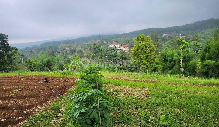 Prigen, Dayurejo. lahan siap bangun. Area komersial 1