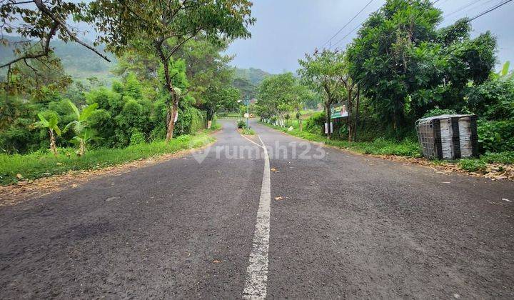 Prigen, Dayurejo. lahan siap bangun. Area komersial 2