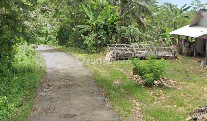 Kebon Kelapa Tulung Agung Blitar, Hak Sewa, Murah 2