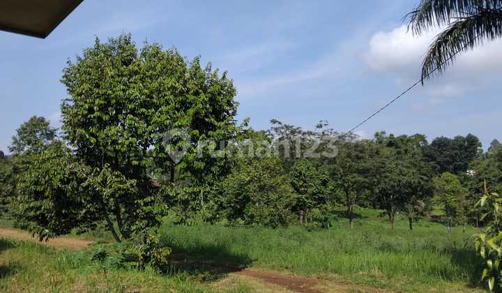 Pasuruan. Tutur Ngembal. Lahan Perkebunan