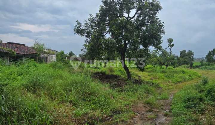 Pasuruan. Lahan Kuning. Nol Jalan. Dekat Tol Pasuruan. Lahan Kuning. Nol Jalan. Dekat Tol