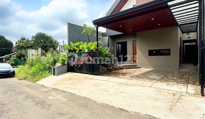 Brand New Tropical Design Within the Complex 2