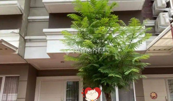 Rumah Siap Huni Semi Furnish Amarillo Mal Summarecon Serpong Dan Mal Eastvara 1