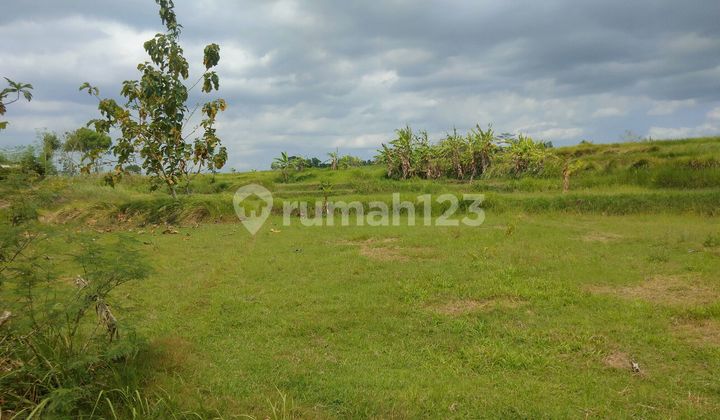 Tanah Murah Strategis Tepi Aspal Rp. 135 Juta