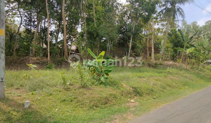 Affordable and Strategic Land in Western Sleman Affordable and Strategic Land in Western Sleman