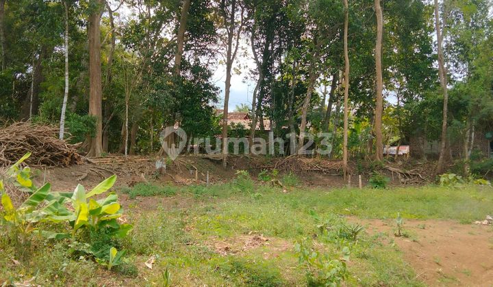 Affordable and Strategic Land Plots, West Sleman Location, Asphalt Edge Near Main Road. Affordable and Strategic Land Plots, West Sleman Location, Asphalt Edge Near Main Road.
