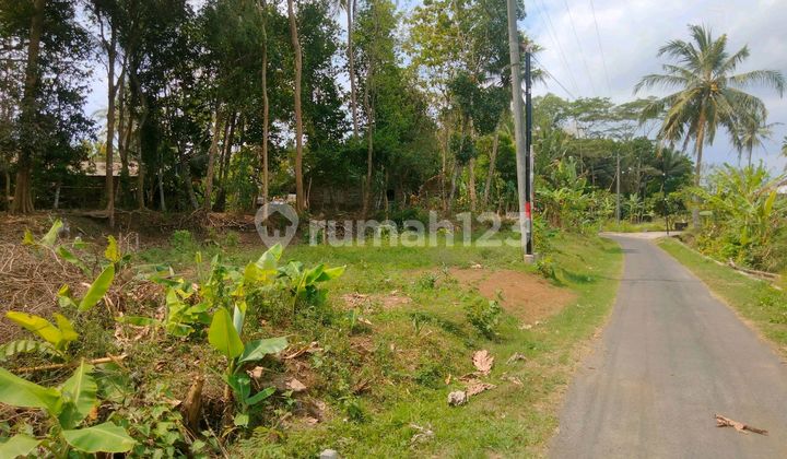 Tanah Kavling Murah Strategis Dekat Jln. Raya Godean Sleman Tanah Kavling Murah Strategis Dekat Jln. Raya Godean Sleman