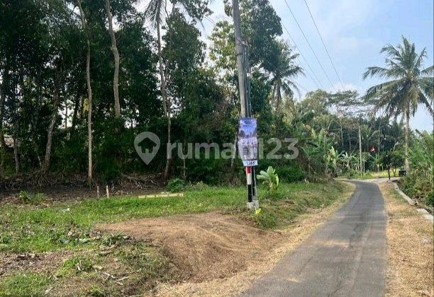 Tanah Kavling Tepi Jl. Aspal, Murah Dan Strategis, Lokasi Dekat Sman 1 Minggir Sleman, Yogyakarta