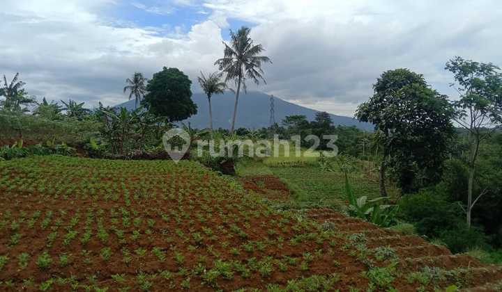 Tanah dengan view Gunung Salak & dekat wisata alam. 7