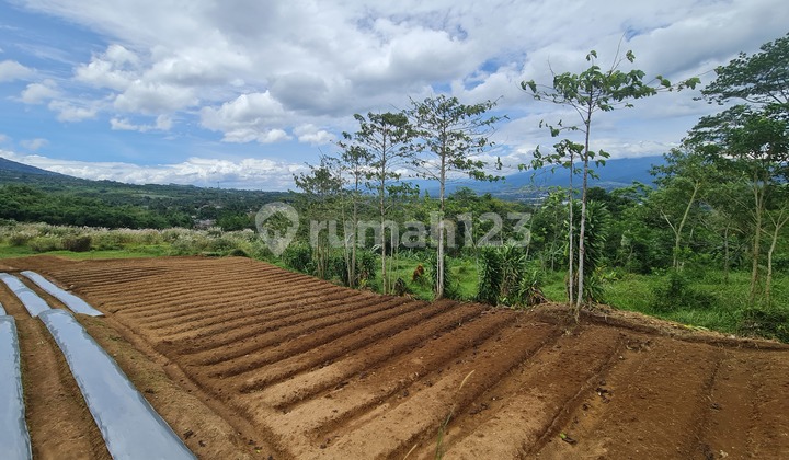 Tanah untuk perumahan subsidi, pesantren, panti jompo, agrowisata didaerah Cicurug Kab. Sukabumi. 12
