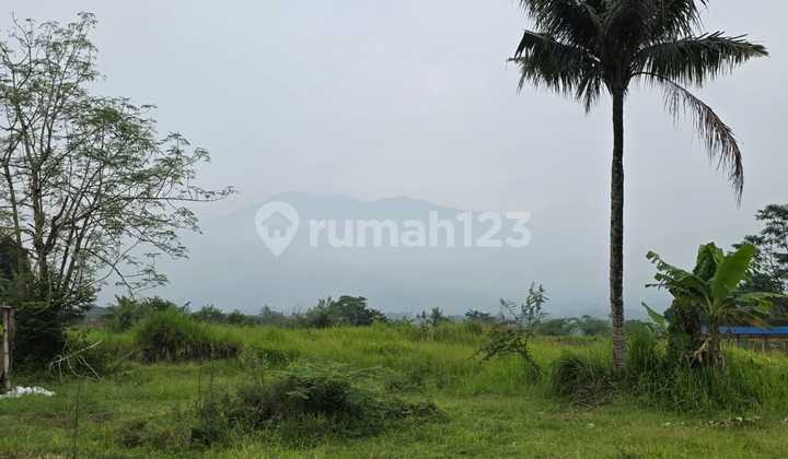 Di Jual Lahan Tanah Di Cijeruk
