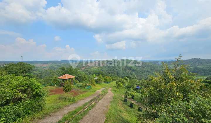 DIJUAL LAHAN KOMERSIL AGRO WISATA (SUDAH BERJALAN)