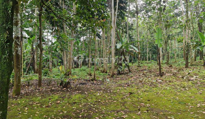 DIJUAL LAHAN TANAH  DAERAH CICURUG SUKABUMI 2