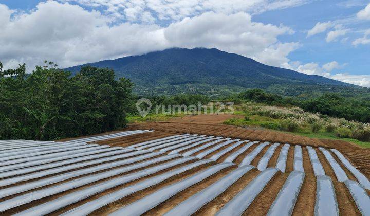 DIJUAL LAHAN TANAH  DAERAH CICURUG SUKABUMI 1