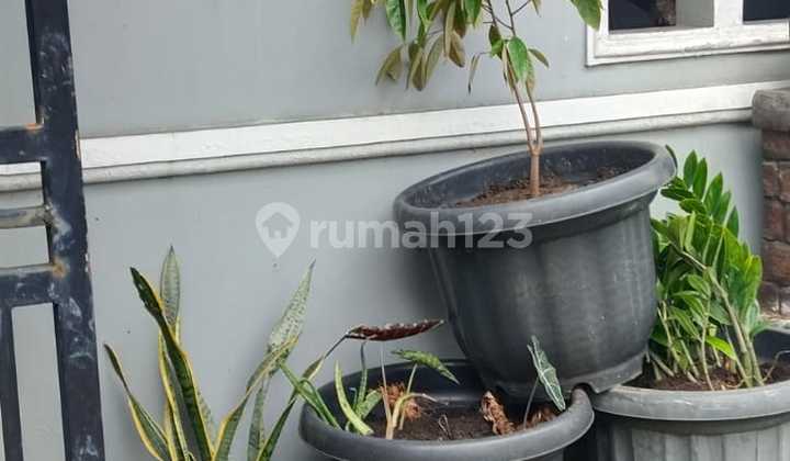 Disewakan Rumah Diporis Paradise,Tangerang 2