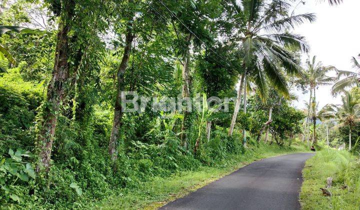 TANAH DEKAT JATILUWIH PENEBEL TABANAN 1