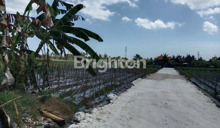 Murah Tanah Kavling Dekat Pantai Yeh Gangga 1