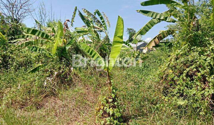 Tanah kavling strategis untuk Villa dekat Pantai Ketewel. 2