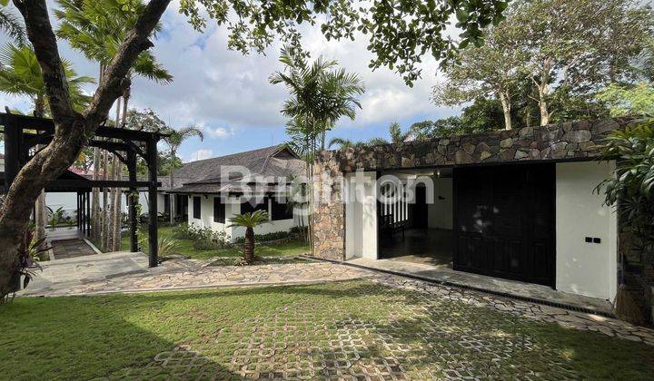 Luxury Mediterranean Tropical Villa in Canggu – Harmony of Nature and Luxury 2