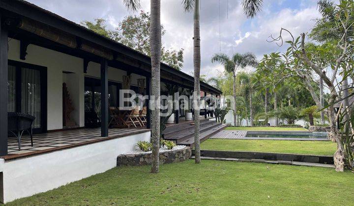 Luxury Mediterranean Tropical Villa in Canggu – Harmony of Nature and Luxury 1