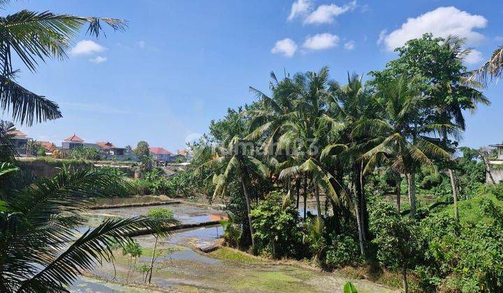 Dijual Tanah View Sawah Dan Los Sungai Mas Ubud Gianyar 1