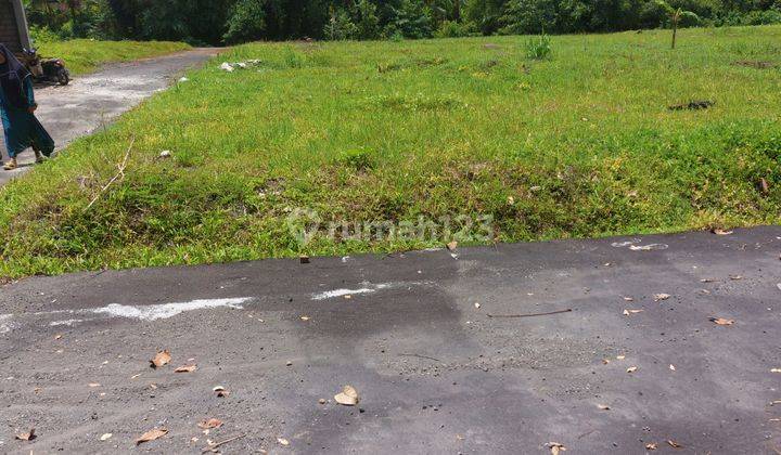 Tanah kavling Murah harga promo dibitere gianyar kota 1