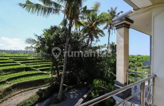 Rumah semi Villa 2 lantai dg view sawah perang lukluk mengwi 2