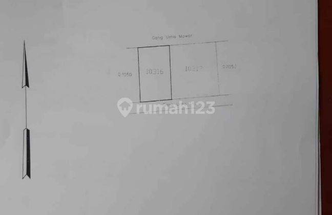 Tanah murah dipedungan jalan pulau saelus denpasar selatan 4