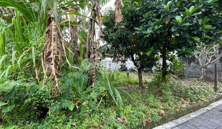 Tanah deket kampus warmadewa jalan akasia denpasar 7