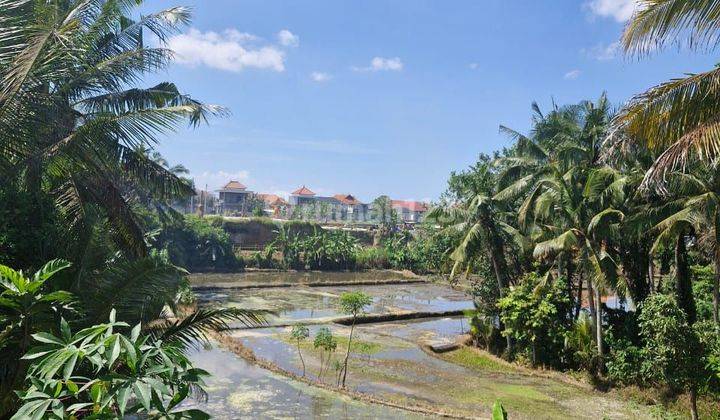 Dijual Tanah View Sawah Dan Los Sungai Mas Ubud Gianyar 2