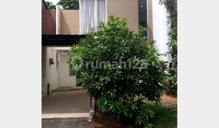 Super Cheap House Cluster Eastern Cosmo, The Icon Bsd, Tangera