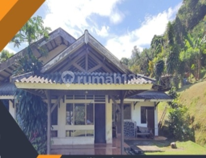 Villa Auction Villa Auction