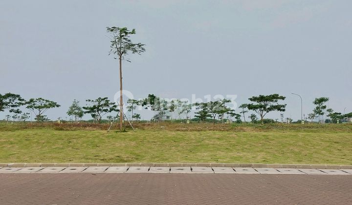 Golf Island Cluster Golf Plot