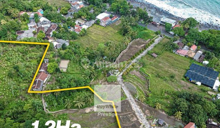 TANAH LOKASI BAGUS 1.2 HEKTAR UNTUK INVESTASI, VIEW LAUT, DI CIKAKAK, SUKABUMI 1