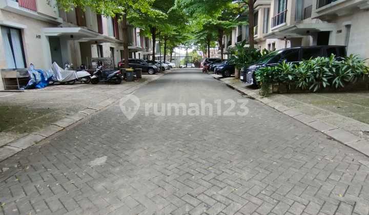 House For Rent Minimalist Tropicalin Townhouse Lokasi Ampera 2