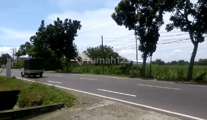 TANAH 2.1HA NOL JALAN PROVINSI PERAK JOMBANG BEA.ZZ0007 3