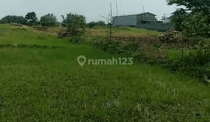 TANAH SHM NOL JALAN RAYA BANGSAL MOJOKERTO BEA.ZZ0010  2