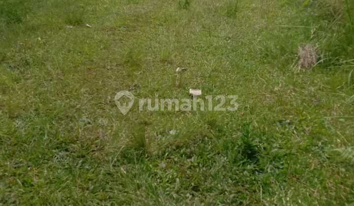 Dry Land 1000M2 Suitable for housing