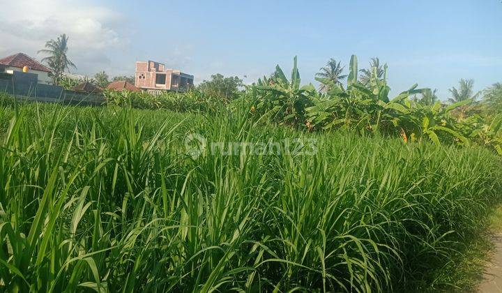 Sell cheap land Saba Beach Gianyar Bali 2