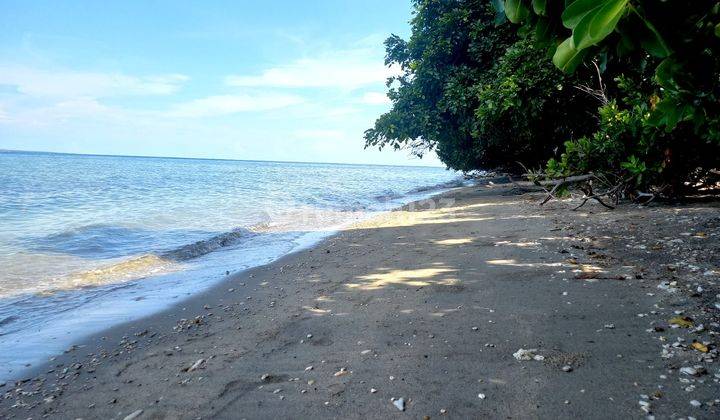 Jual tanah pinggir pantai Pulau Moyo Sumbawa Luas 4 Hektar 3