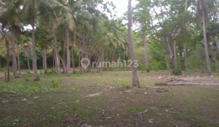 Jual tanah pinggir pantai Pulau Moyo Sumbawa Luas 4 Hektar 5