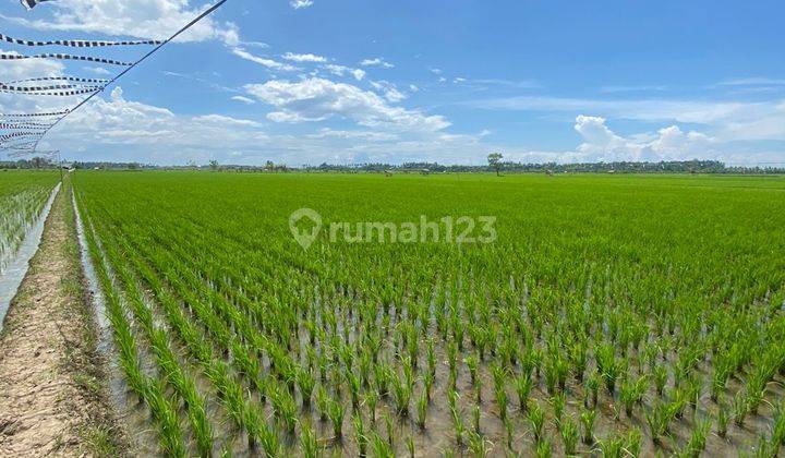 Tanah jual Delod Brawah Negara 4